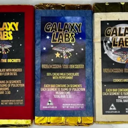 Galaxy Lab Mushroom Bars